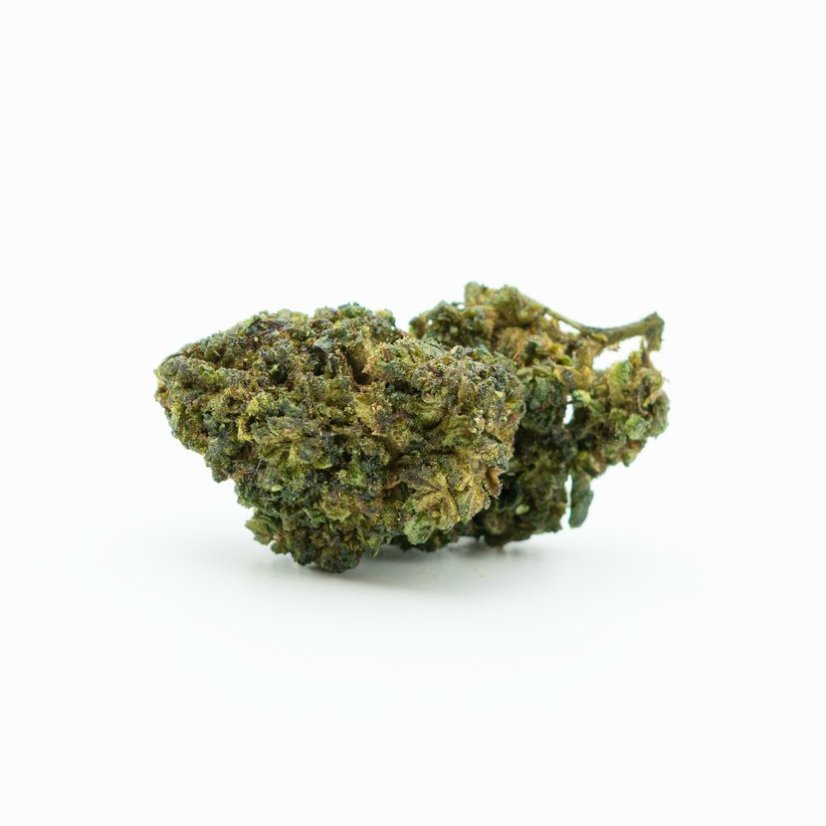 HHC Kvet Amnesia Kush 40%, 100g - 10 000g