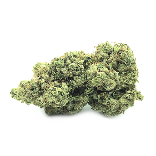 Canalogy CBD Kanapių gėlė Fire Kush 13%, 1 g - 1000 g