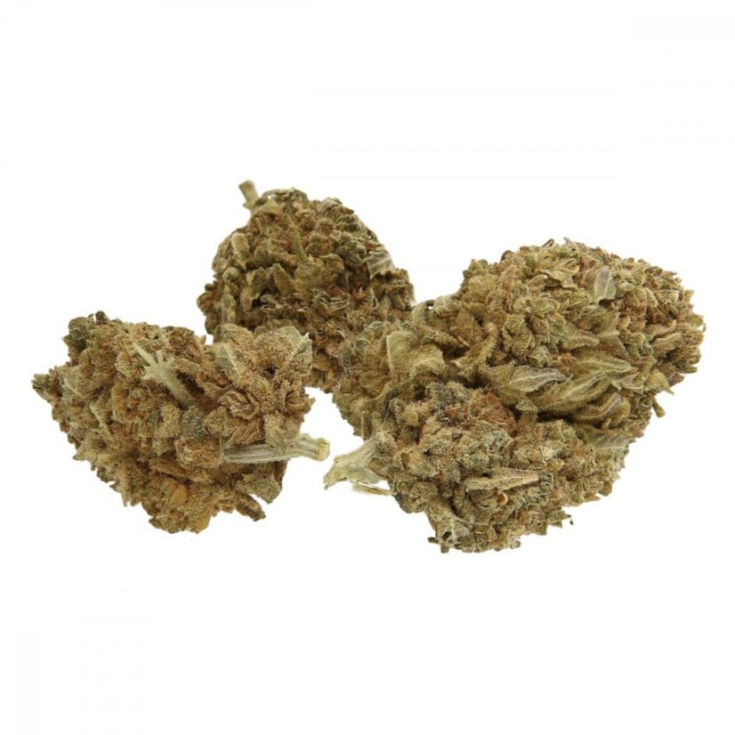 Flowrolls Pack d'échantillons de fleurs de chanvre CBD d'intérieur - 6 x 1 g