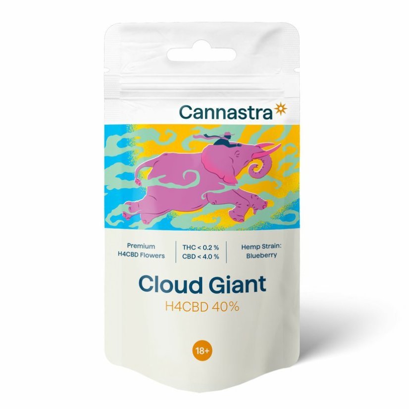 Cannastra H4CBD Flor Nuvem Gigante (Mirtilo) 40%, 1 g - 100 g