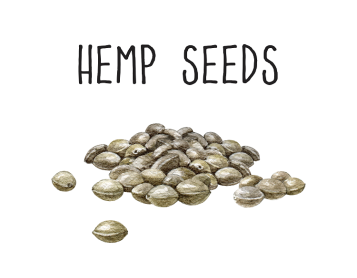 Text: 'Hemp seeds' and illustrated hemp seeds