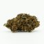 CBD kanep Maasika lill, 13% CBD, 0,2% THC (100g-10 000g)