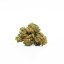 Canalogy HHC kvet Amnesia Haze 20%, 1g - 1000g