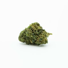 HHC-O Kvet Jack Herer 20%, 100g - 10 000g