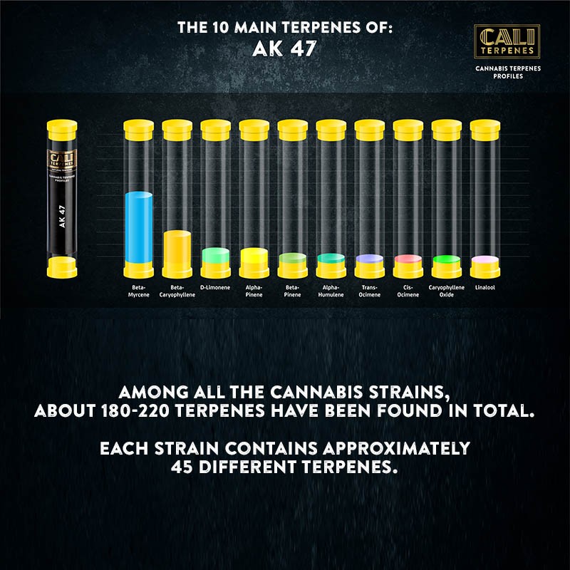 Cali Terpenes - AK 47, 1 მლ