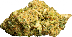 HHC flor 7th Heaven 20% Gold Line, THC menos del 0,2%, 100 g - 10 000 g