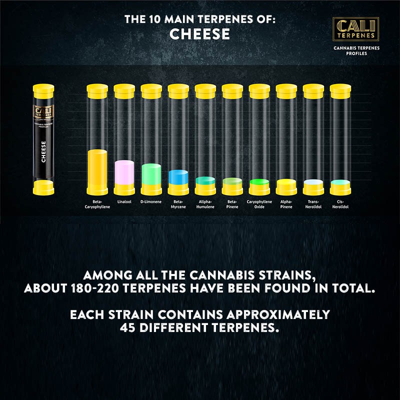 Cali Terpenes - Ser, 1 ml