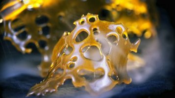 Cannabis concentrates - everything in one place.