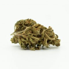 CBD hemp flower Royal, 16% CBD, 0,2% THC ( 100g - 10 000g)