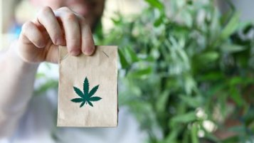Tips on how to safely start a cannabis business