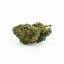 Flor HHC Amnesia Cus 40%, 100g - 10 000g