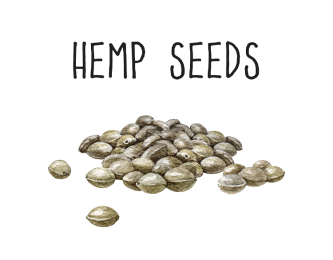 Text: „Konopné semená“ a ilustrované konopné semená