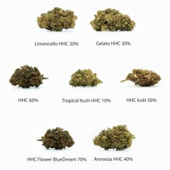 HHC Çiçekler Örnek seti - Tropikal Kush %10, Limoncello %20, Gelato %30, Amnesia %40, Peynir %50, OG Kush %60, Blue Dream %70 - 7 x 1 g