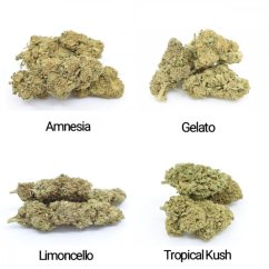 HHC Flowers sample set - Tropical Kush 10%, Limoncello 20%, Gelato 30%, Amnesia 40% - 4x1g