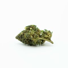 HHC-O Flower Gorilla klijai 40%, 100g - 10000g