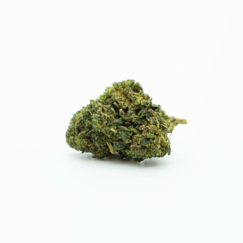 HHC-O Flower Jack Herer 20%, 100g - 10.000g