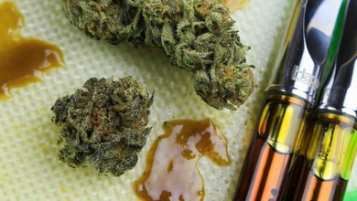 Main differences between pure CBD and broad spectrum CBD extract