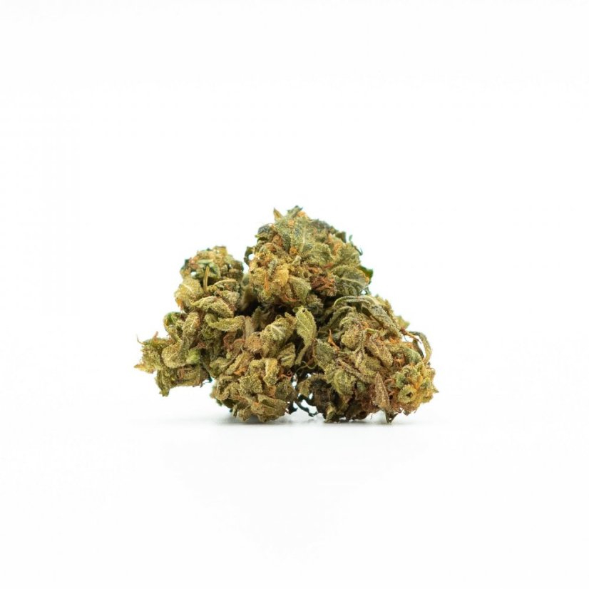 HHC Flower Amnesia Haze 20%, 100g - 10.000g