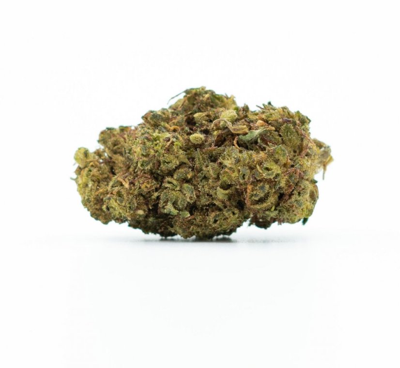 HHC Flowers sýnishorn - Tropical 10%, Limoncello 20%, Gelato 30%, Minnisleysi 40%, Ostur 50%, Ice Rock, Moon Rock - 7x1 g