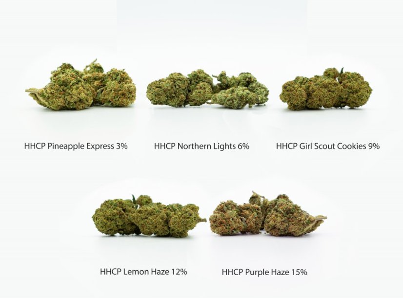 HHCP Flowers paraugu iepakojums - Pineapple Express 3%, Northern Lights 6%, Girl Scout Cookies 9%, Lemon Haze 12%, Purple Haze 15%, 5 x 1 g