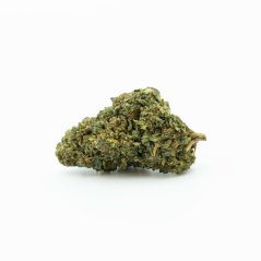 THCP Kvet Fruity Pebbles, 5 % THCP, 1 g - 10 000 g