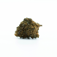 HHCO Flower Super Silver Haze 70%, 100g - 10.000g