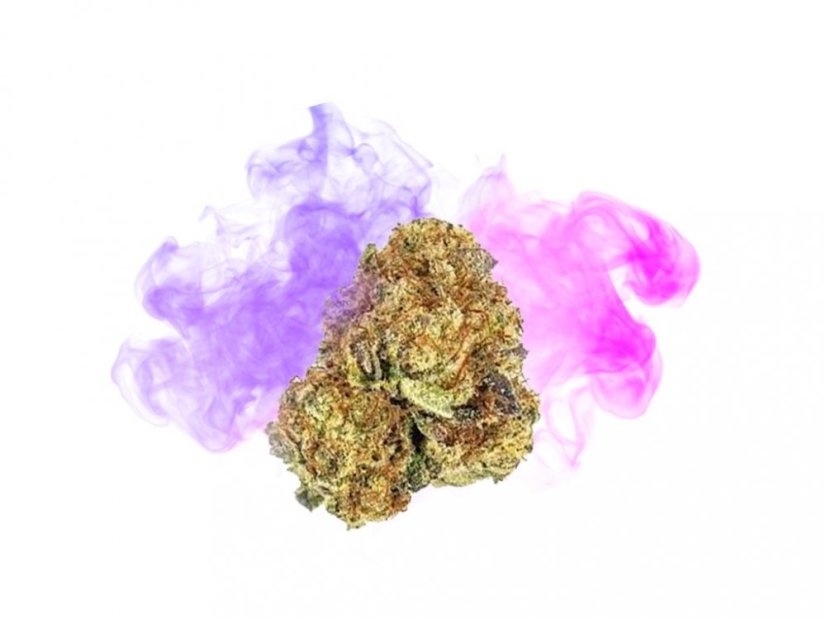 HHC zieds Purple Queen 40%, 100g - 10 000g