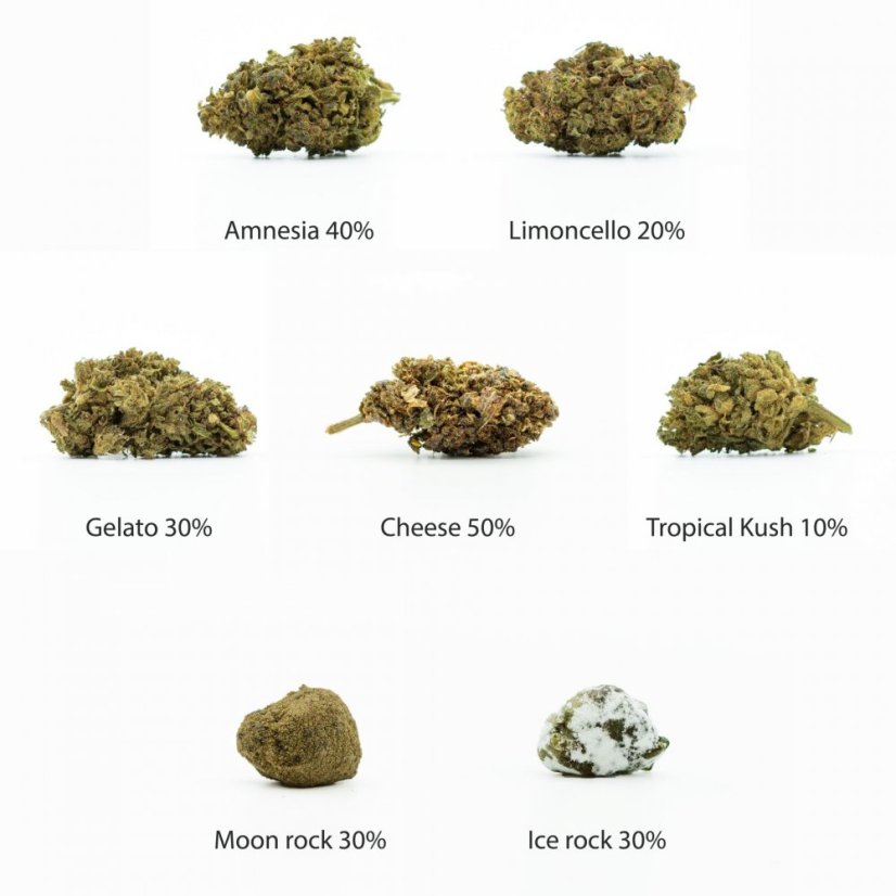 HHC Kvety sample set - Tropical 10%, Limoncello 20%, Gelato 30%, Amnesia 40%, Cheese 50%, Ice Rock, Moon Rock - 7x1 g