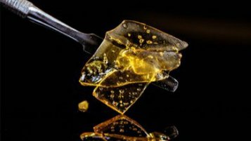 Living resin extract is the future of cannabis