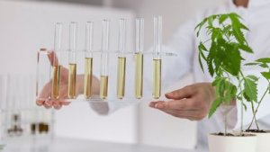 A new cannabinoid on the market: What is H4CBD?