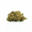 HHC Kvet Tropical Kush 10%, 100g - 10 000g