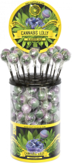 Cannabis Blueberry Haze Lollies – Display Container (100 nyalóka)