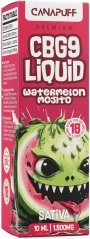 CanaPuff CBG9 Vloeibare Watermeloen Mojito, 1500 mg