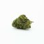 HHC-O Flower Jack Herer 20%, 100g - 10,000g