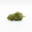 Broccoli liofilizat cu efect de seră cu flori CBD 11 % CBD, 0,2 % THC, 100 g - 10 000 g