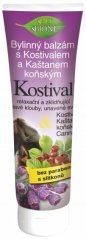 Bione Comfrey Herbal Ointment with Horse Chestnut, 300 ml