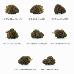 HHC-O Flowers Dæmisett - Brúðkaupskaka 10%, Jack Herer 20%, Sour Diesel 30%, Gorilla Glue 40%, Sunset Sherbet 50%, Purple Punch 60%, Super Silver Haze 70%, Trainwreck 80% - 8 x 1 G