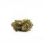 Canalogy HHC flor Royal Skunk 30%, 1g - 1000g