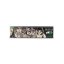 Euphoria King Size Slim Mystical Rolling Papers + Filters - 24 db-os doboz