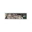 Euphoria King Size Slim Mystical Rolling Papers + Filters - Askja með 24 stk.