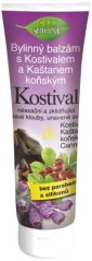 Bione Comfrey Herbal Ointment with Horse Chestnut, 100 ml