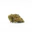 Canalogy HHC flor Fresa 20%, 1g - 1000g