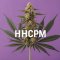 Cannabis plant on purple background, text: HHCPM