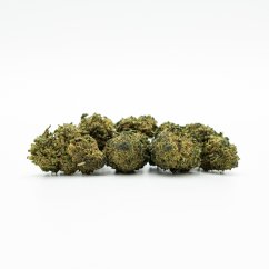 THP420 Fiore, 0,2 % THC, 100 g - 10 000 g