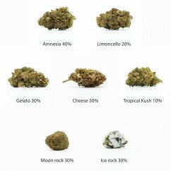 HHC ziedi paraugu komplekts - Tropu 10%, Limoncello 20%, Gelato 30%, Amnesia 40%, Siers 50%, Ledus klints, Mēness klints - 7x1 G