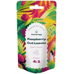 Canntropy Ekstrak Daun Raspberry (Rubus ideaus) 4:1, 5g - 100g