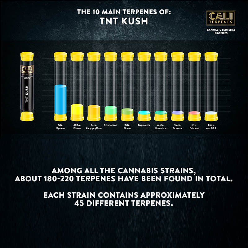 Cali Terpenes - TNT KUSH, 1 ml