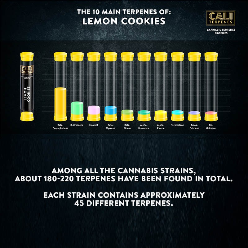 Cali Terpenes - kue lemon, 1 ml