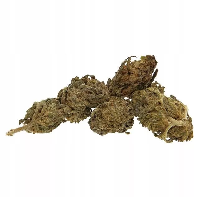 Flowrolls CBD Kvet Cheese outdoor, 1g - 100g