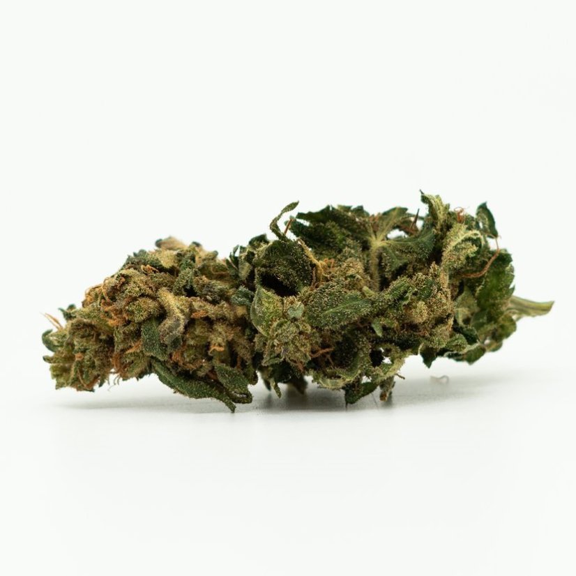 CBD კანაფის ყვავილი Fire Kush, 13% CBD, 0.2% THC (100გ-10000გრ)